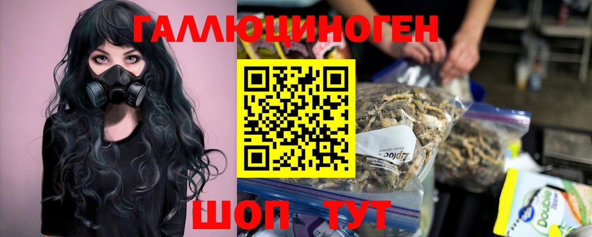 как найти закладки  Вход с VPN  Усть-Джегута  Псилоцибиновые грибы MAGIC MUSHROOMS 